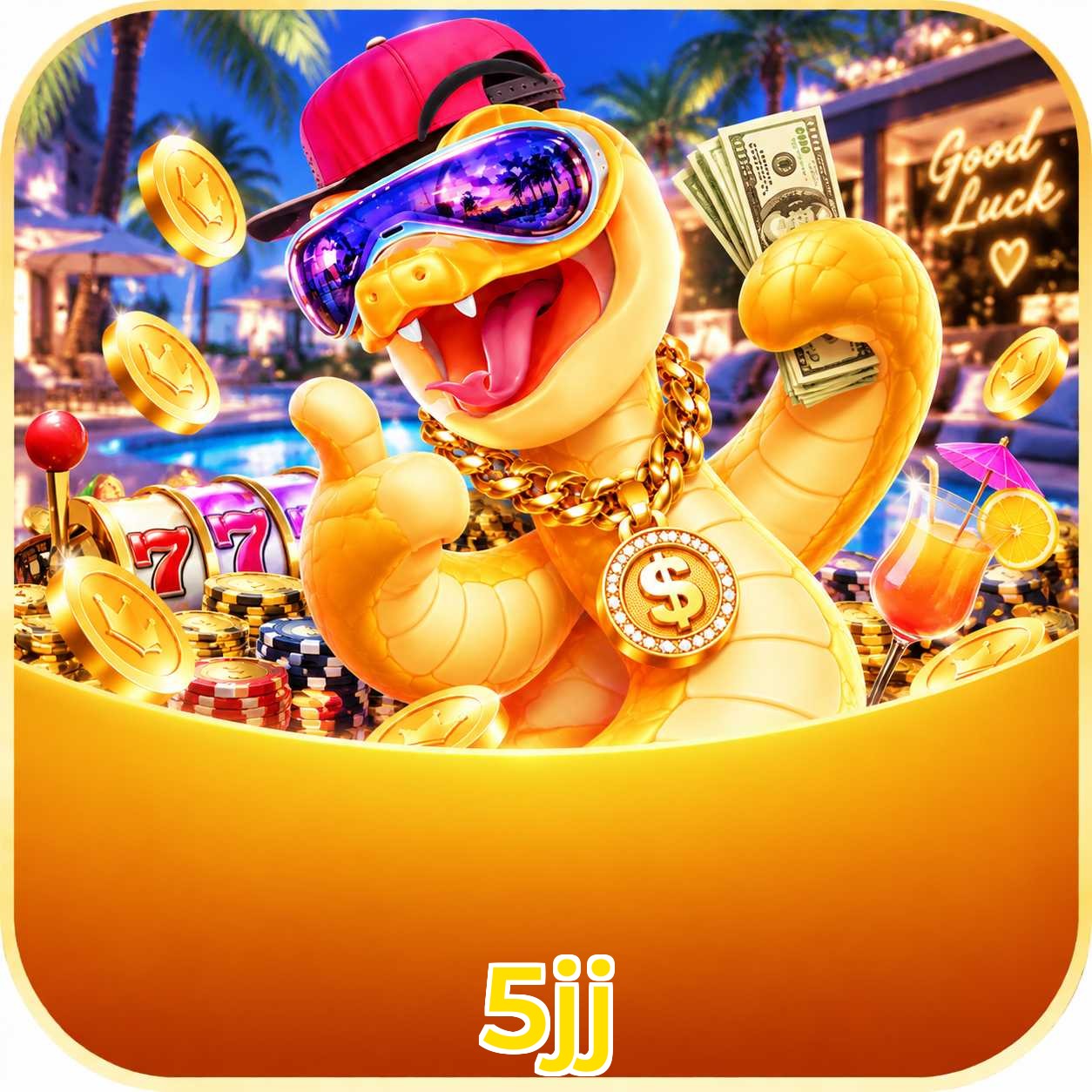 5jj VIP Program